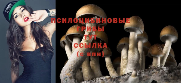 сатива Белокуриха