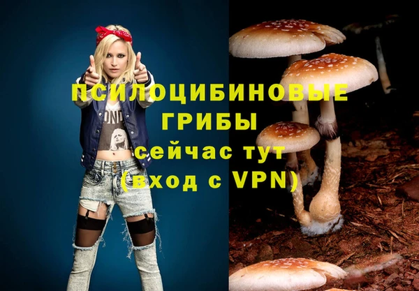 ECSTASY Беломорск
