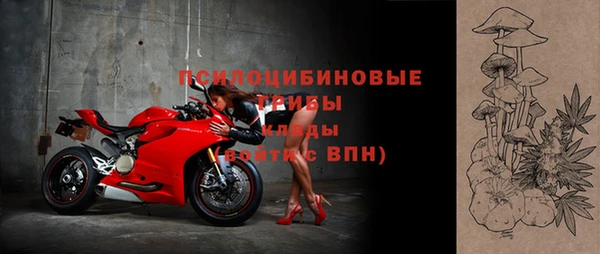 сатива Белокуриха